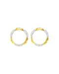 Amusement Earrings