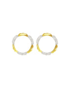 Amusement Earrings